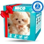 🐶 My Realistic Robot Puppy🐕‍🦺