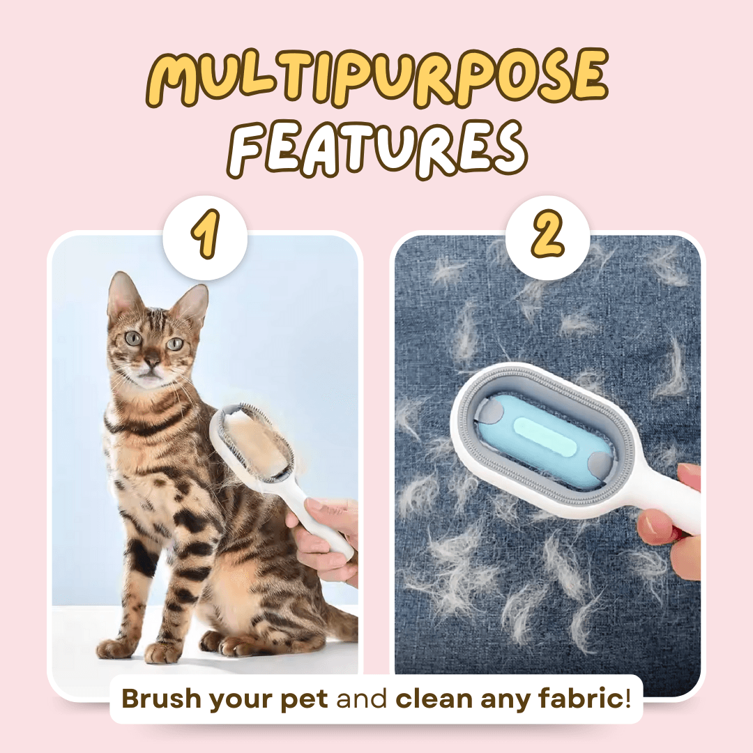 MultipurposeFeatures.png