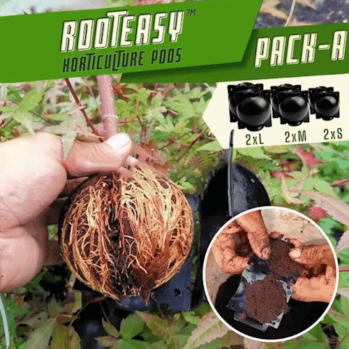 Early Christmas Sale 50% OFF - RootEasy Plant Rooting Box Seeding Case