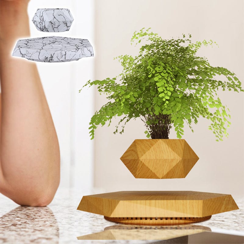 The latest black technology:Magnetic levitation planter (without plants)