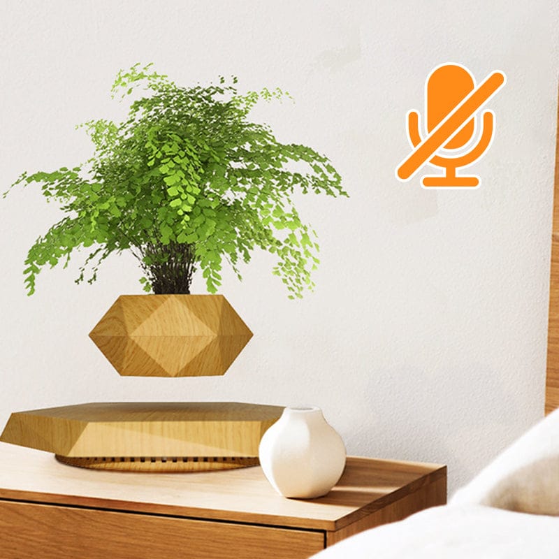 The latest black technology:Magnetic levitation planter (without plants)